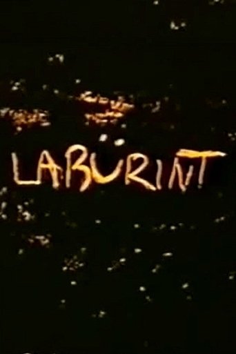 Labyrinth 1989