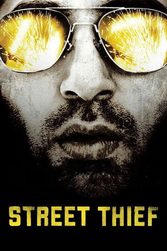 Street Thief 2006