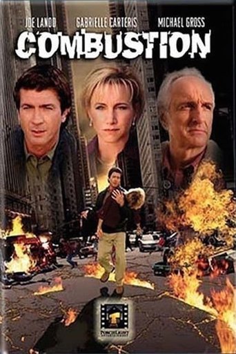 Combustion 2004