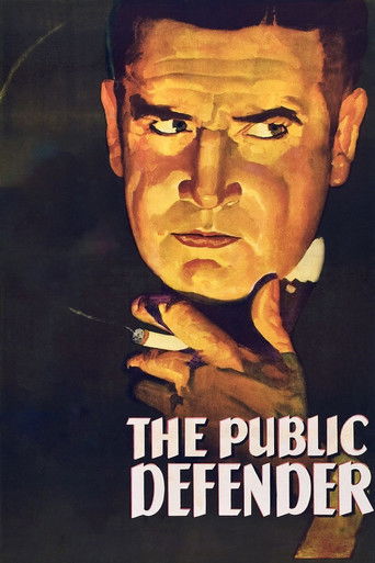 The Public Defender 1931