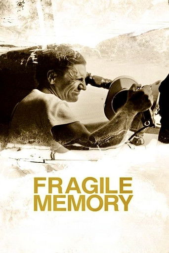 Fragile Memory 2022