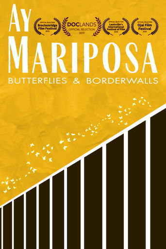 Ay Mariposa 2019