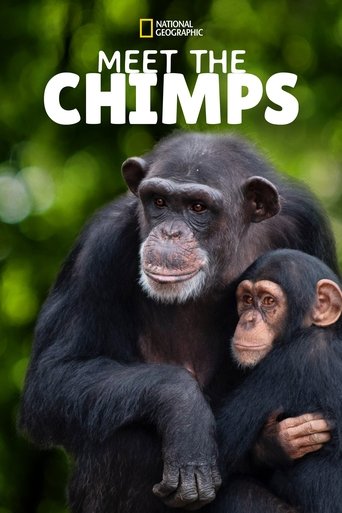 Meet the Chimps 2020