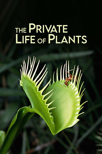 The Private Life of Plants 1995