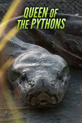 Queen of the Pythons 2019