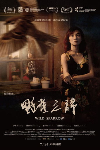Wild Sparrow 2020