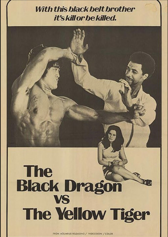 The Black Dragon vs. the Yellow Tiger 1974