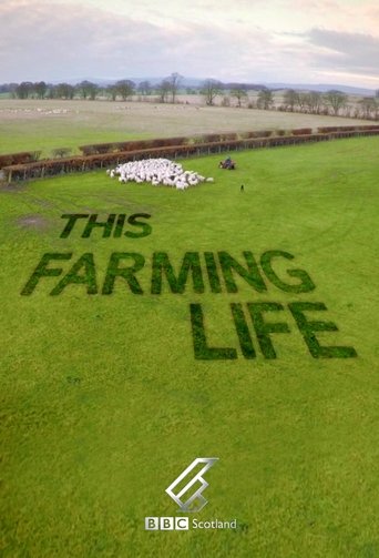 This Farming Life 2016