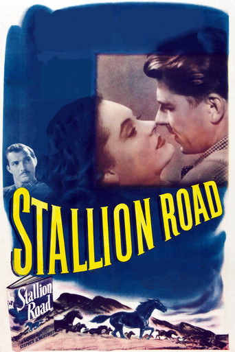 Stallion Road 1947