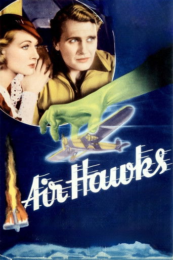 Air Hawks 1935