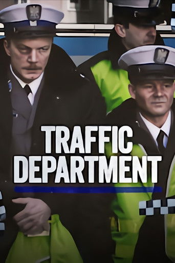 Traffic Department 2013