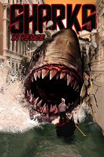 Sharks in Venice 2008