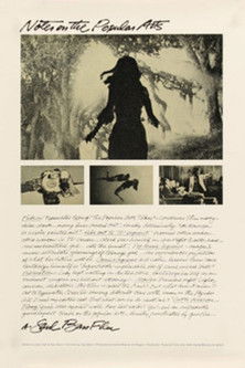 Notes on the Popular Arts 1978
