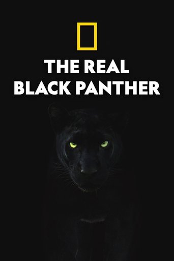 The Real Black Panther 2020