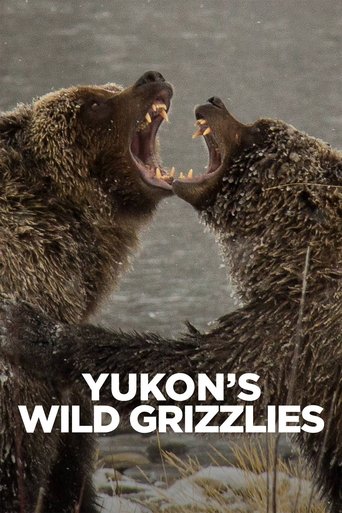 Yukon's Wild Grizzlies 2021