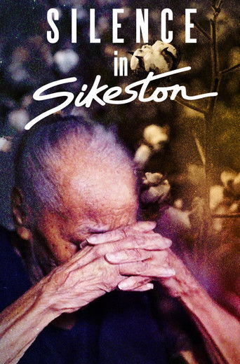Silence in Sikeston 2024