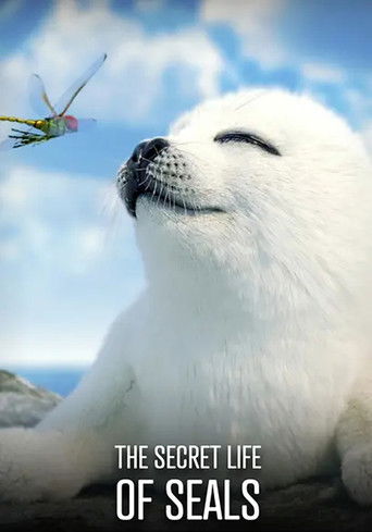 The Secret Life of Seals 2022