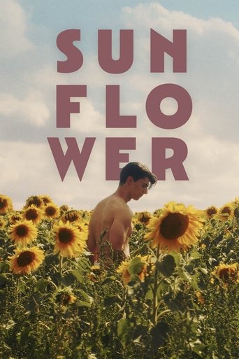 Sunflower 2024