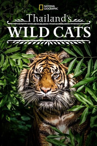 Thailand's Wild Cats 2021
