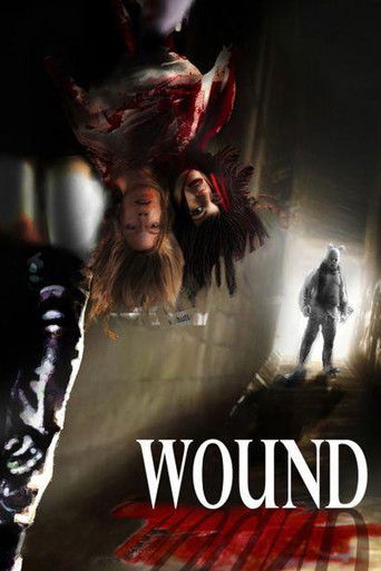 Wound 2010