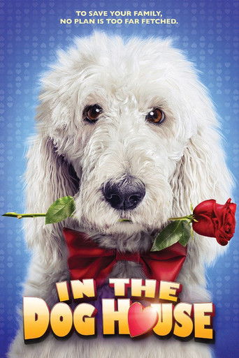 In the Dog House 2014
