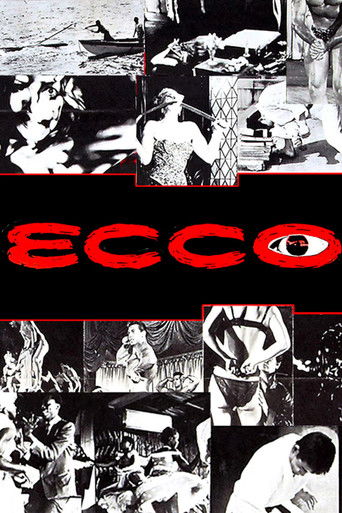 Ecco 1963
