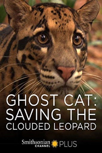 Ghost Cat: Saving the Clouded Leopard 2007