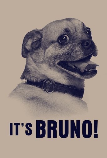 It's Bruno! 2019