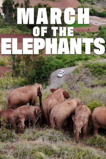March of the Elephants 2022