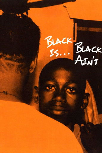 Black Is… Black Ain’t 1995