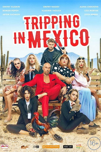 Tripping in Mexico 2019