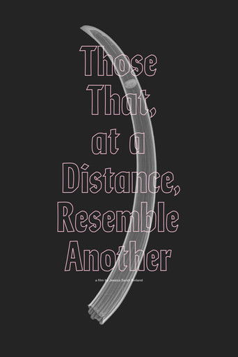 Those That, at a Distance, Resemble Another 2019