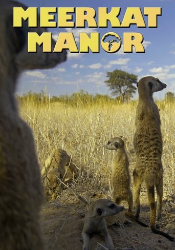 Meerkat Manor 2005