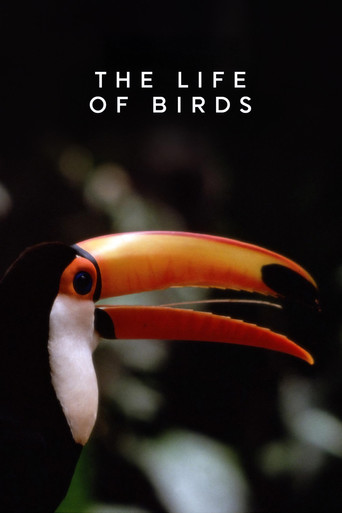 The Life of Birds 1998