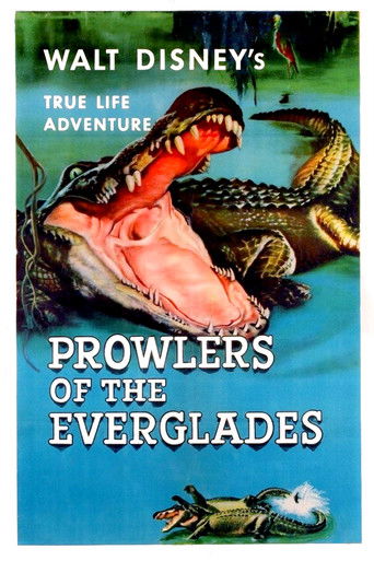 Prowlers of the Everglades 1953