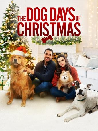 The Dog Days of Christmas 2021